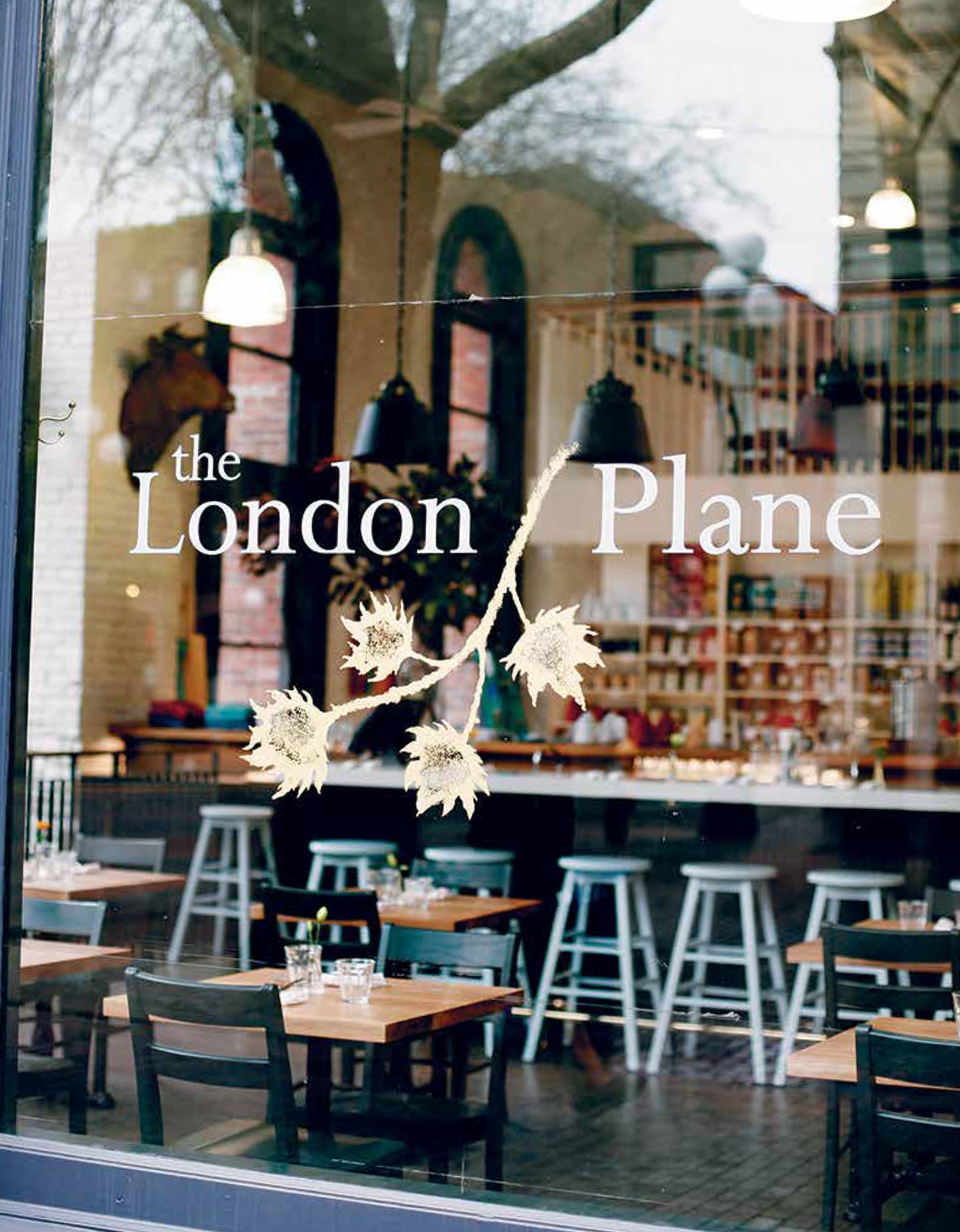 The London Plane Flower & Cook Book